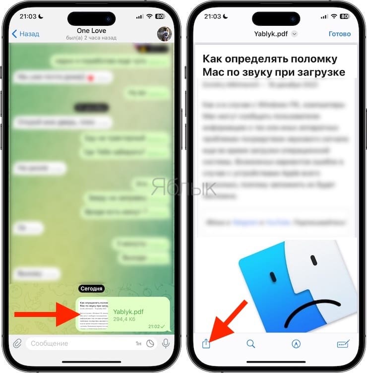 Как отправлять PDF-файлы в WhatsApp на iPhone из другого приложения (мессенджера)