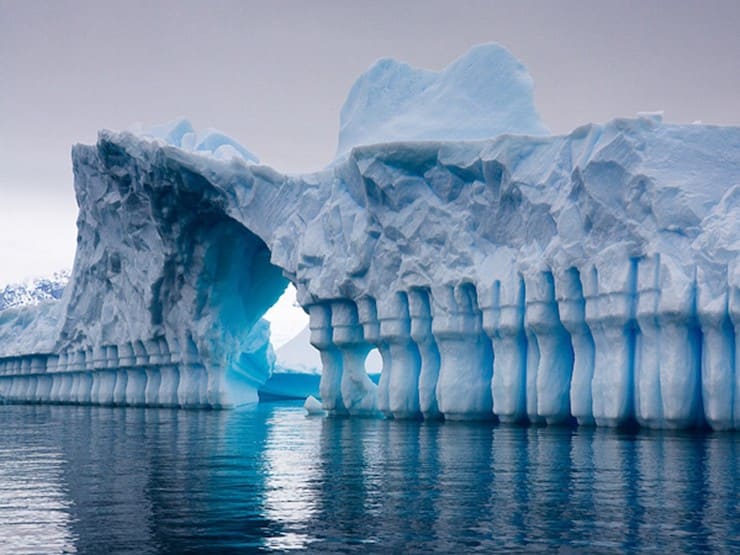 Quelles sont les différences entre l'Arctique et l'Antarctique ?