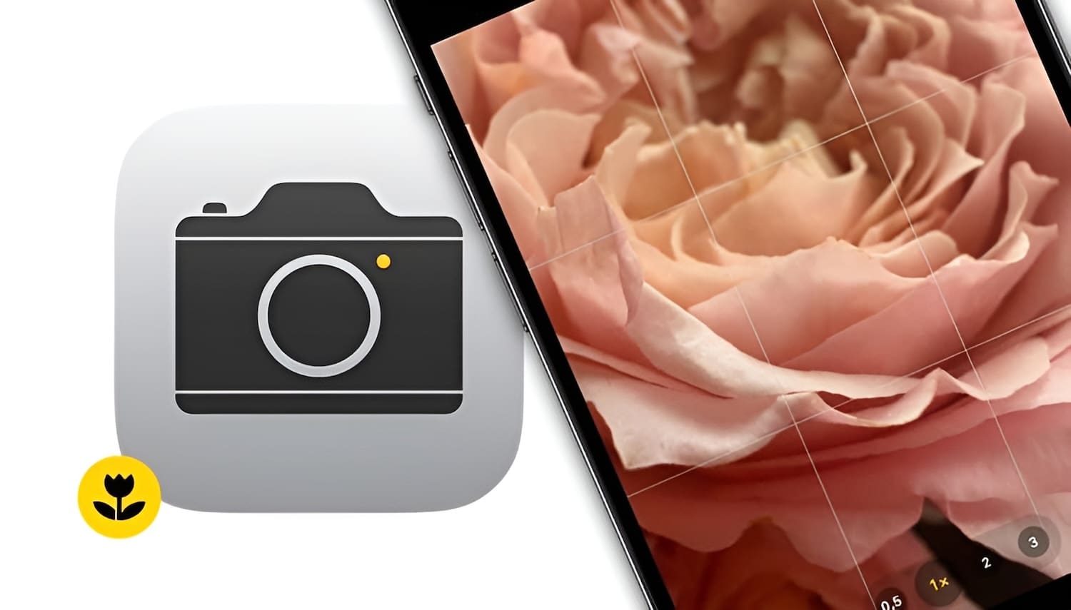 Режим Макро на iPhone: как снимать фото и видео с макросъемкой?