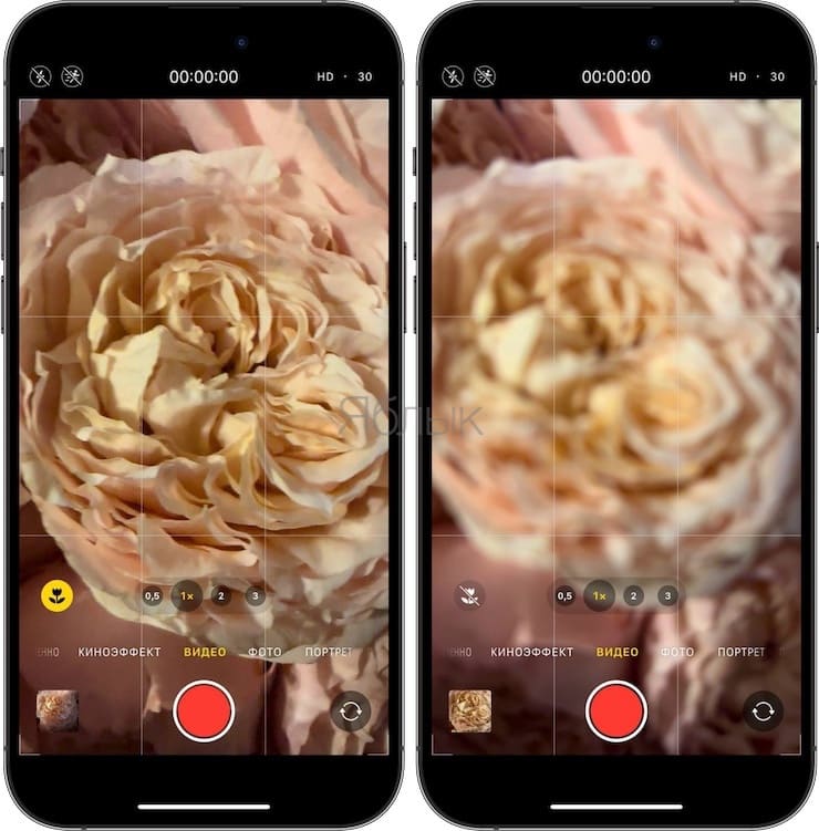 Режим Макро на Айфоне: как включить и снимать фото (видео) с макросъемкой?