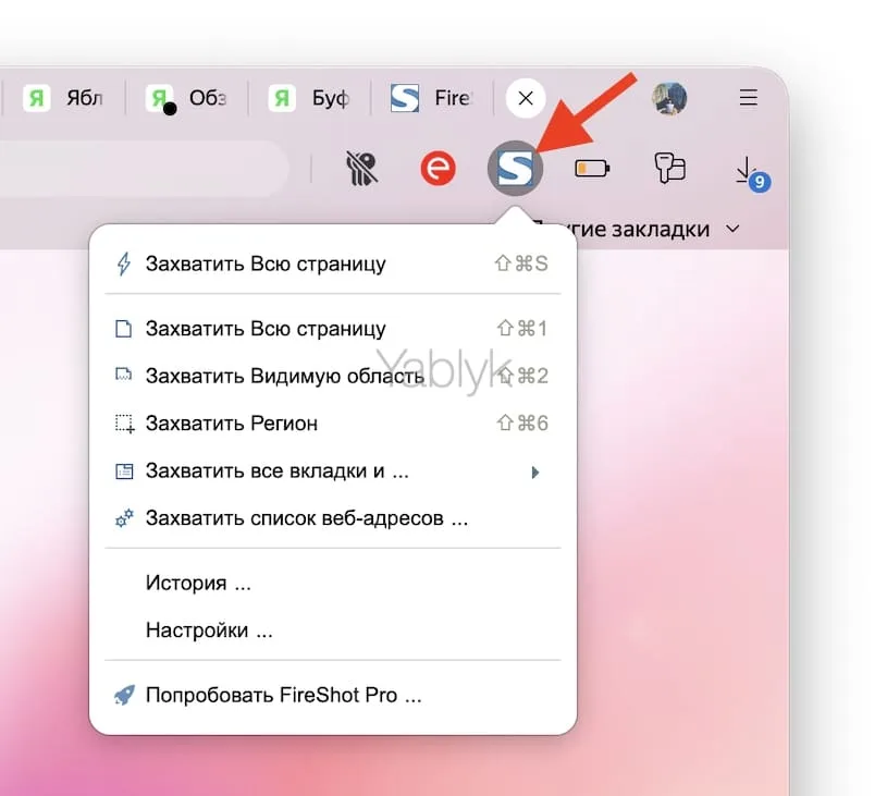 расширение FireShot для создания скриншотов в браузерах на Mac
