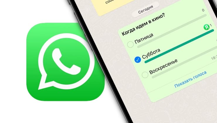 Как создавать опросы в индивидуальных и групповых чатах WhatsApp