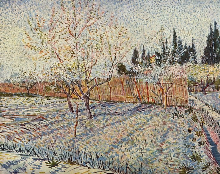 Картинка - Сад с кипарисами - Ван Гог 