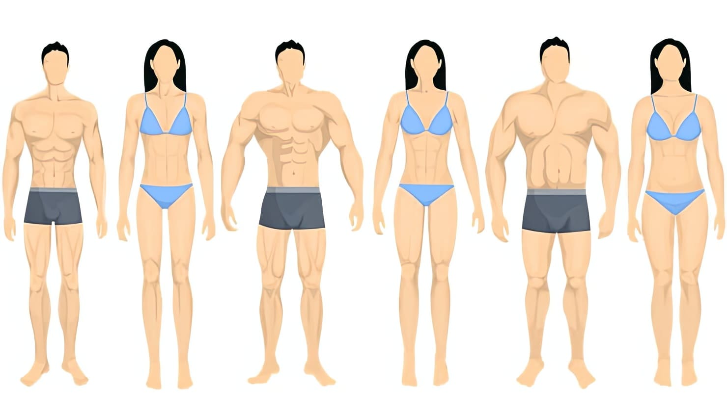 https://yablyk.com/wp-content/uploads/2023/02/body_type_ectomorph-mesomorph-or_endomorph.-how-to-find_out.jpeg