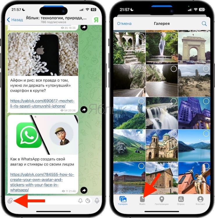 Как в Telegram отправить фото и видео без потери качества на iPhone и Android