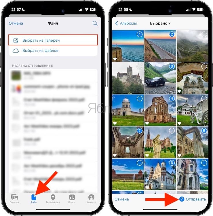 Как в Telegram отправить фото и видео без потери качества на iPhone и Android