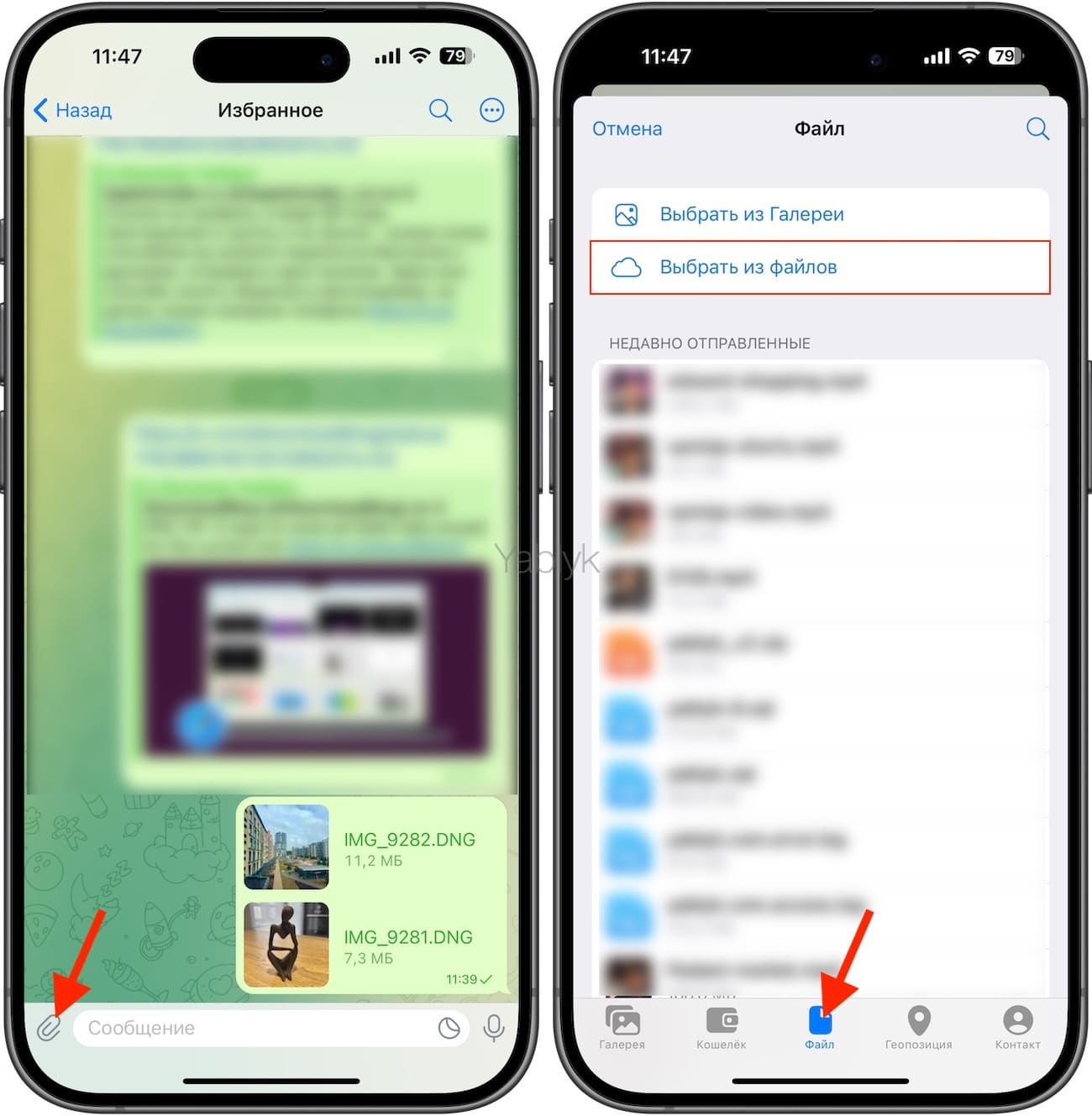 Как в Telegram на iPhone отправить фото в формате «RAW» (расширение «DNG») без потери качества?