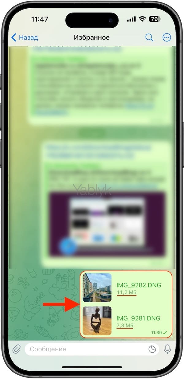 Как в Telegram на iPhone отправить фото в формате «RAW» (расширение «DNG») без потери качества?
