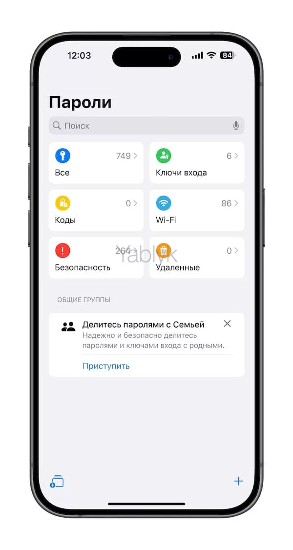 Главный экран приложения «Пароли» на iPhone