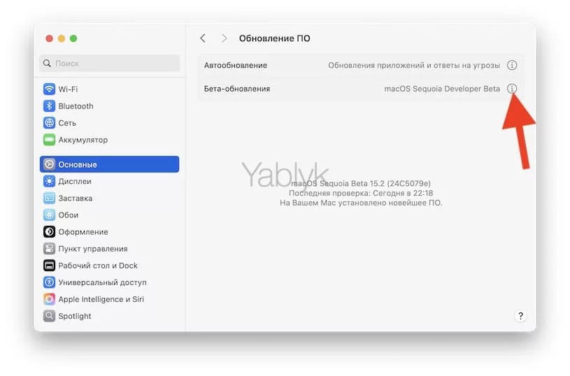 Как отключить появление обновлений бета-версий macOS на Mac