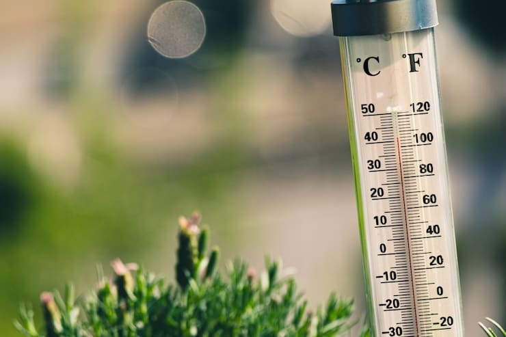 По Цельсию или Фаренгейту: почему температуру измеряют в разных шкалах?