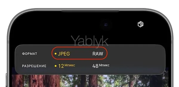 Наиболее совместимый — JPEG и RAW в настройках камеры iPhone