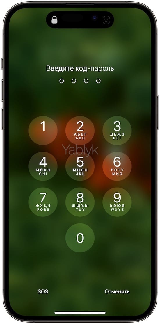 Экран ввода код-пароля iPhone
