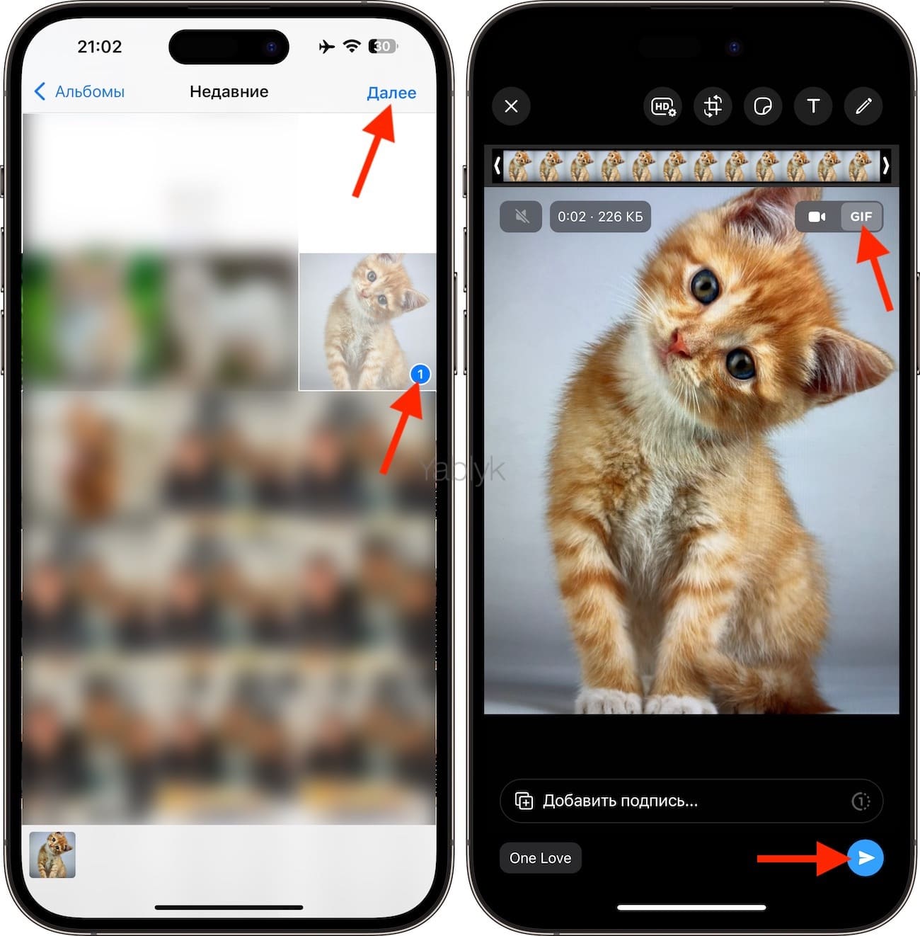 Как из «Live Photo» сделать GIF-файл в WhatsApp?