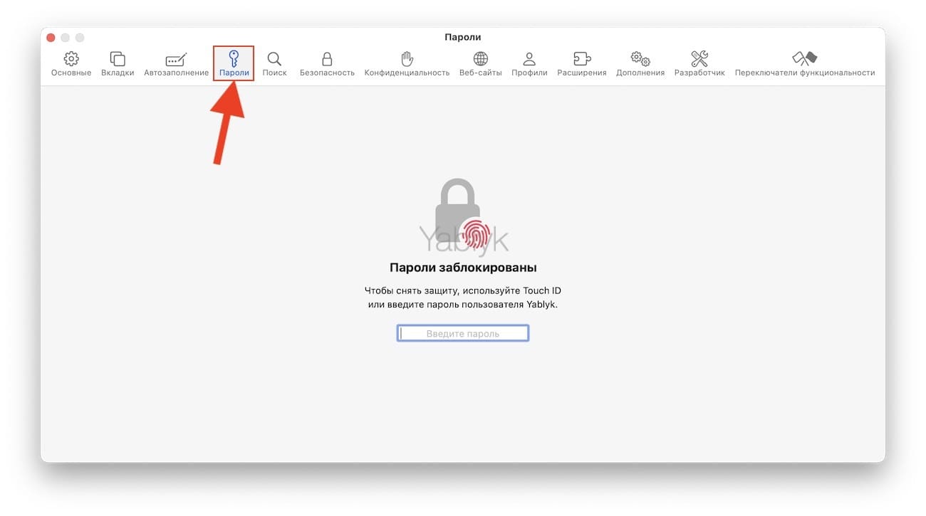 Настройки паролей в Safari на Mac