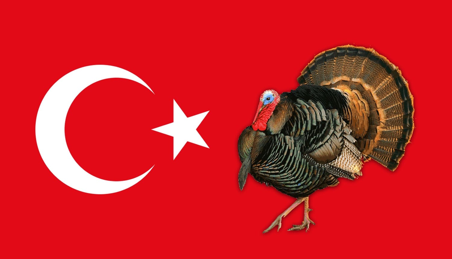 Почему Турция и индейка по-английски — turkey