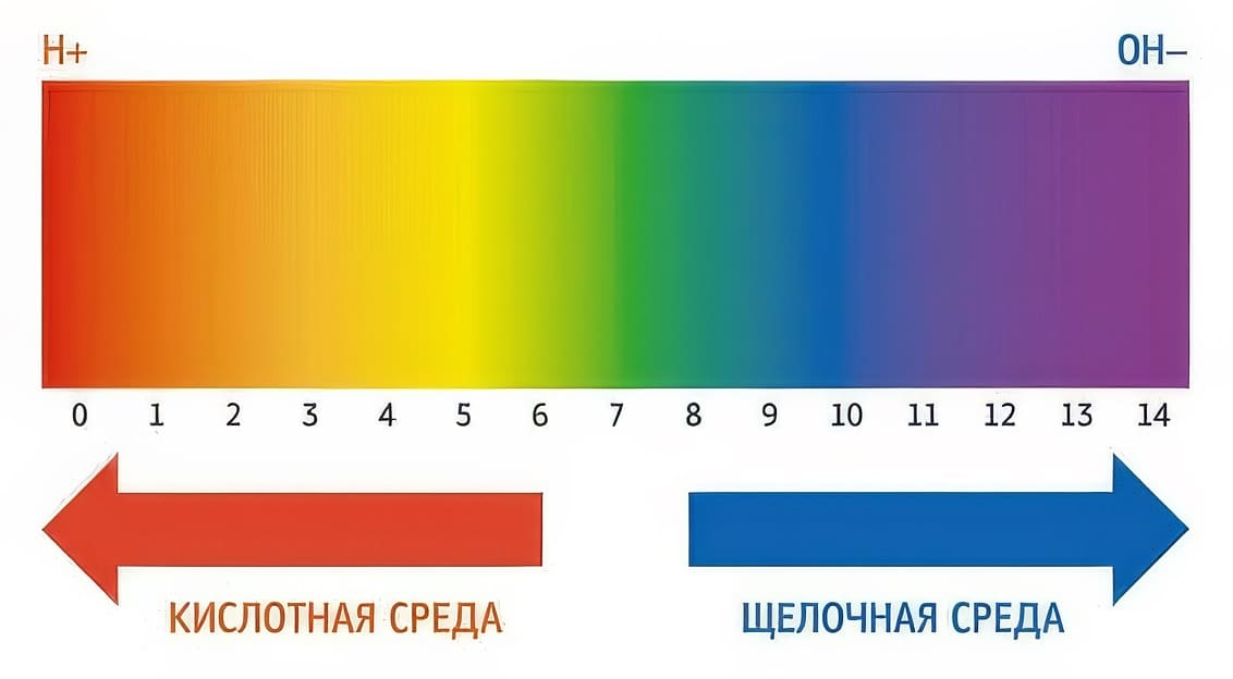 шкала pH