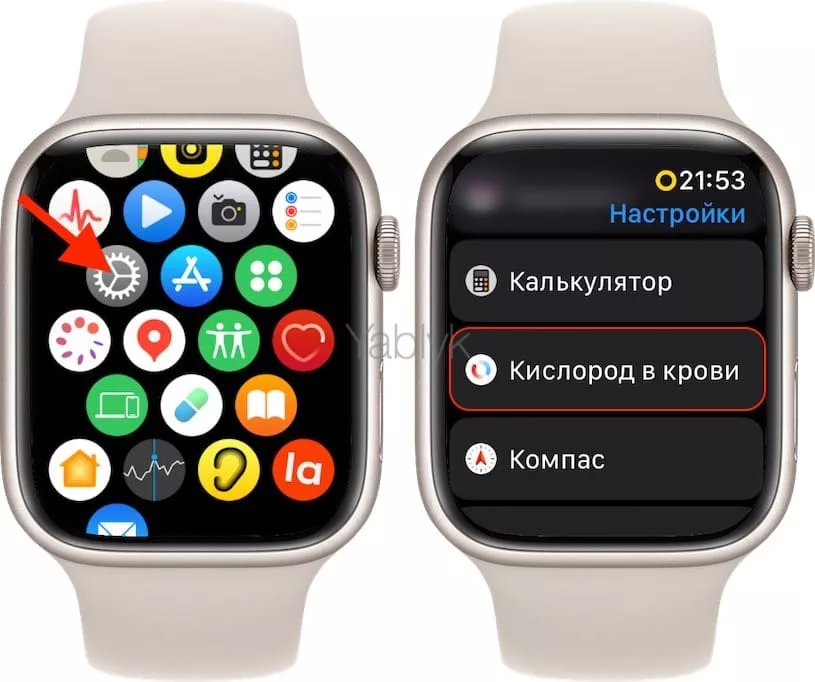 Как на Apple Watch можно отключить измерение кислорода в крови?