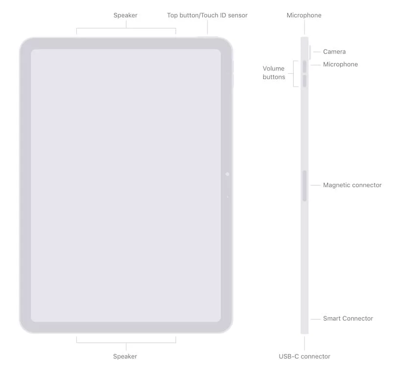 Схема расположения разъемов и кнопок iPad Air 2024