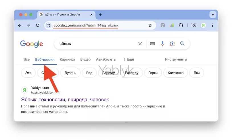 Как отключить ответы искусственного интеллекта в поиске Google