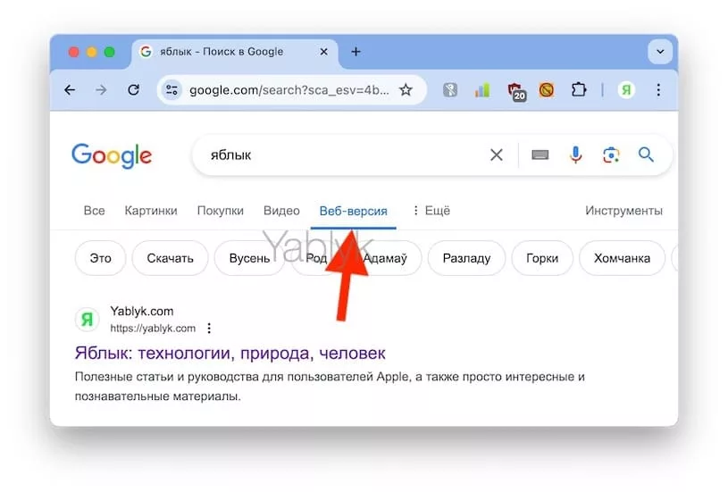 Как отключить ответы искусственного интеллекта в поиске Google