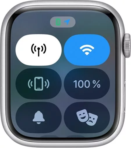 Значок "Синяя стрелка геолокации" на Apple Watch
