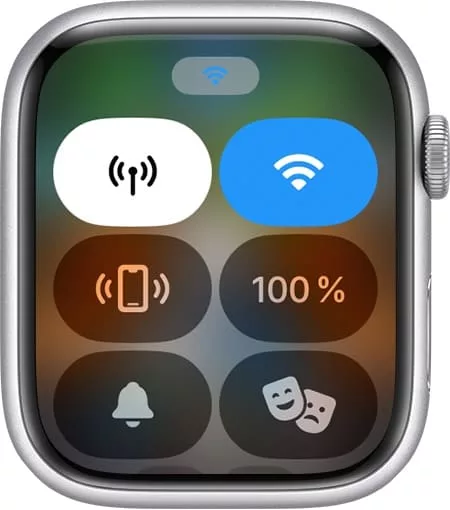 Значок Wi-Fi на Apple Watch
