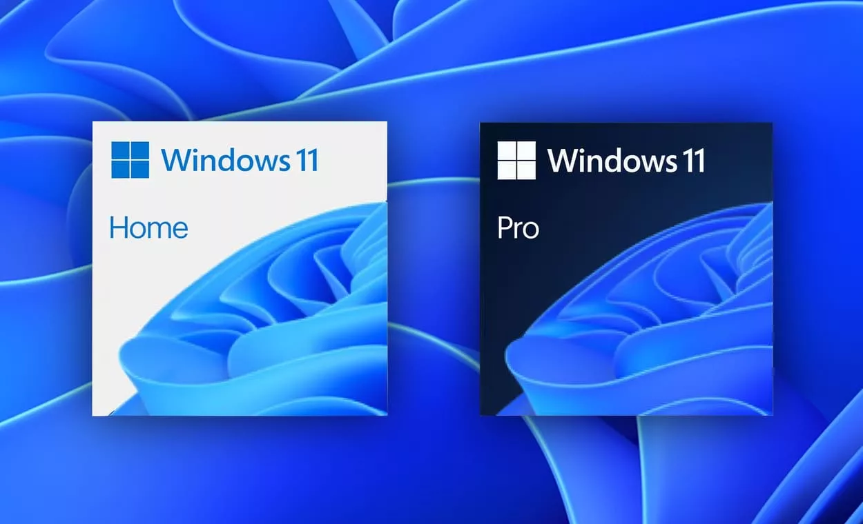 Все отличия Windows 11 Pro от Home