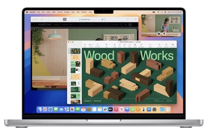 safari web video macos sequoia