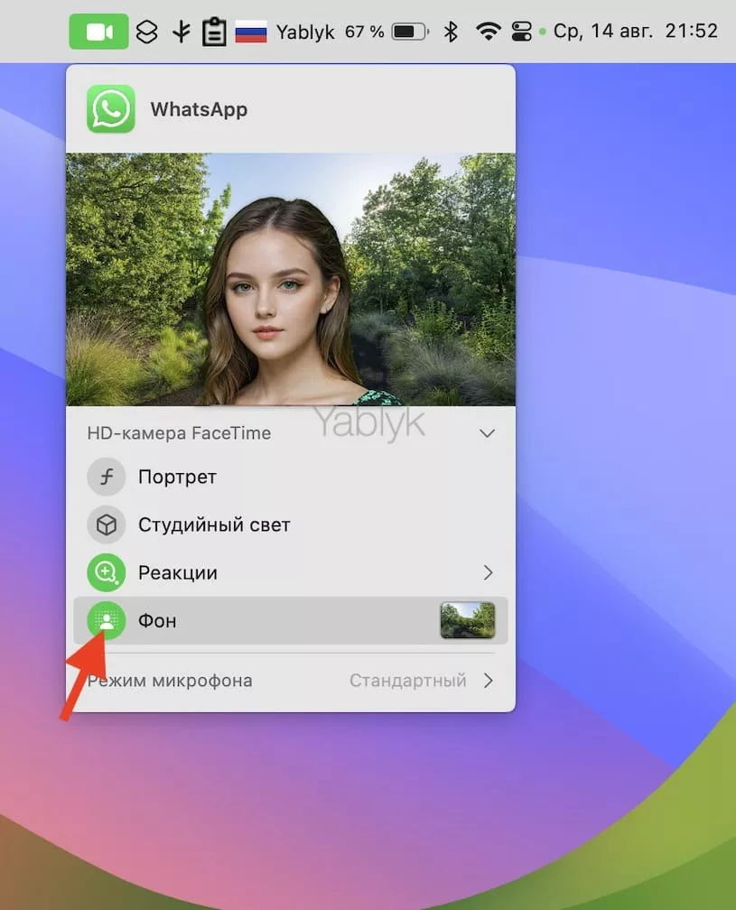 Как поменять фон в видеозвонке на Mac?
