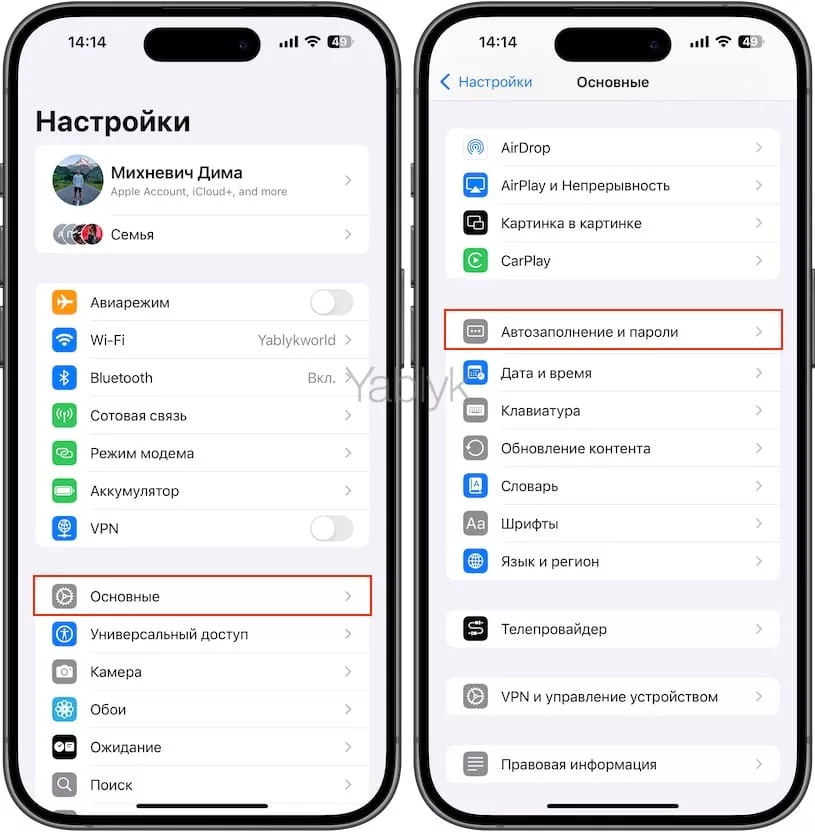 Как включить автозаполнение паролей из iCloud в Яндекс.Браузере на iPhone, iPad?