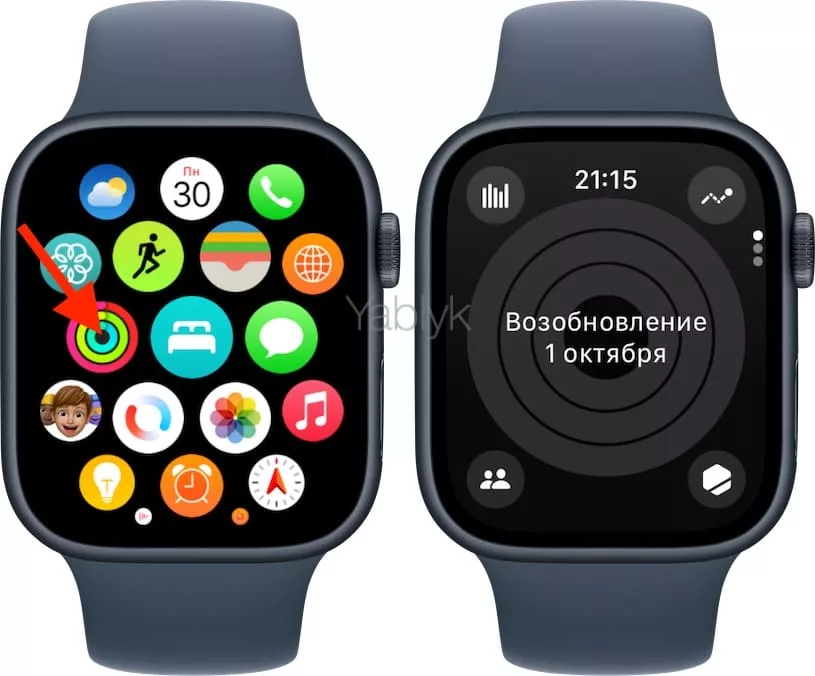 Как приостановить кольца активности на Apple Watch и для чего это делать?