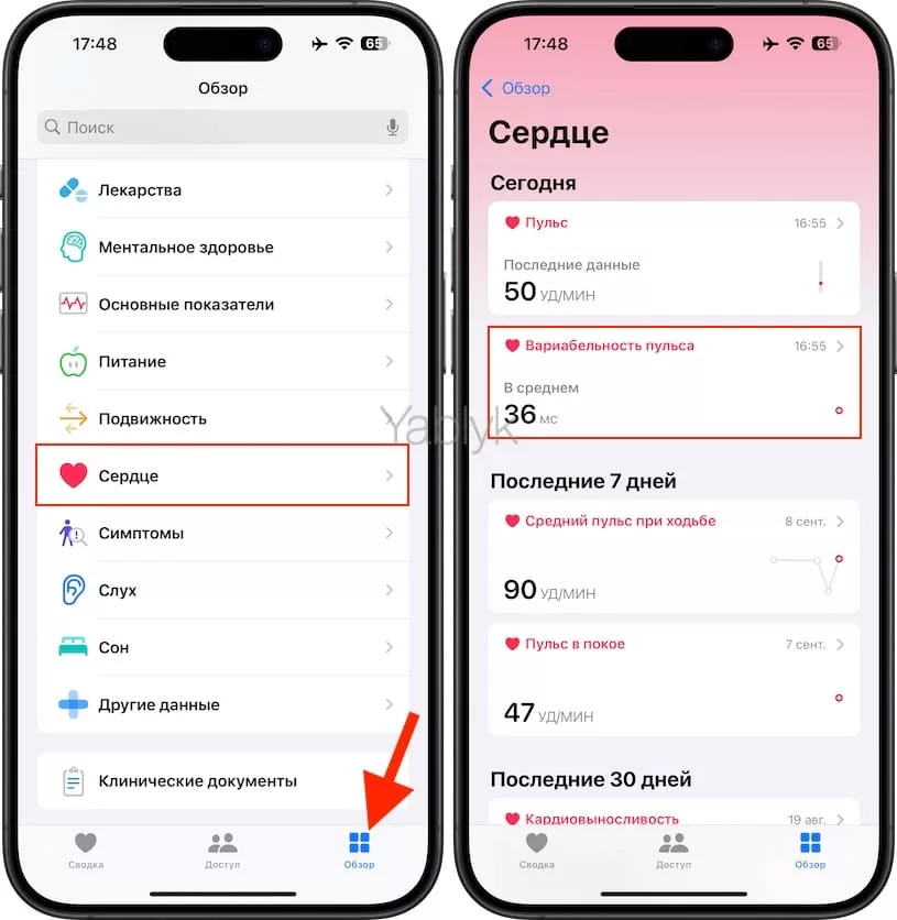 Где смотреть информацию о вариабельности пульса, предоставляемой Apple Watch?