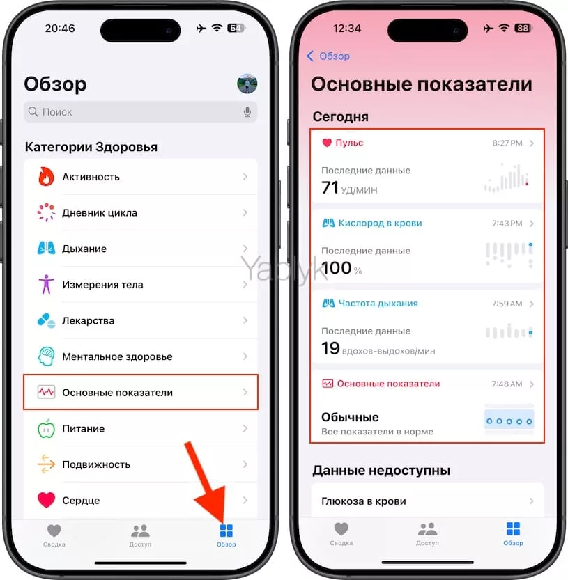 Обзор приложения «Основные показатели» (Vitals) для Apple Watch