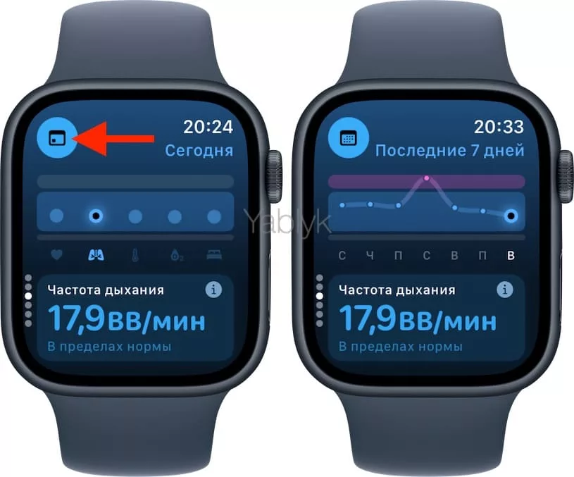 Обзор приложения «Основные показатели» (Vitals) для Apple Watch