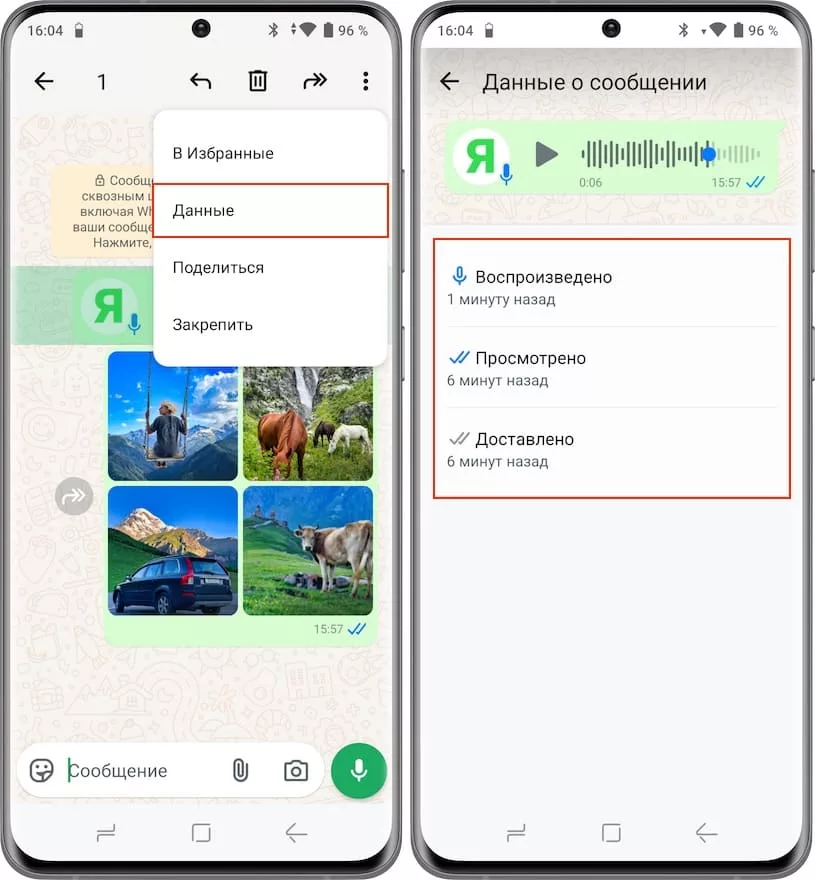 Как узнать, в какое время было просмотрено сообщение в WhatsApp на Android?