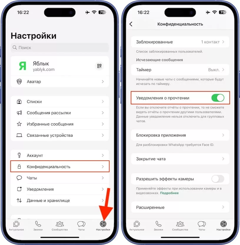 Как узнать, в какое время было просмотрено сообщение в WhatsApp?