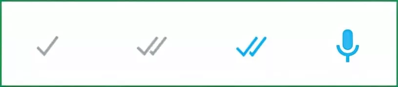 Что означают одна или две галочки в WhatsApp?