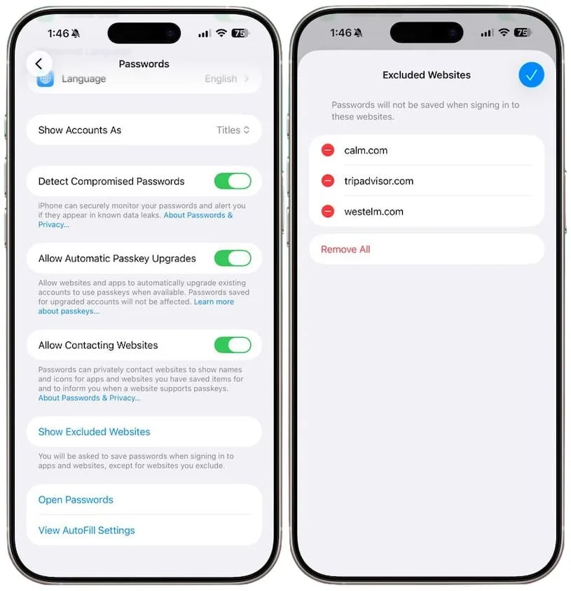 Меню «Исключения» в настройках приложения «Пароли»