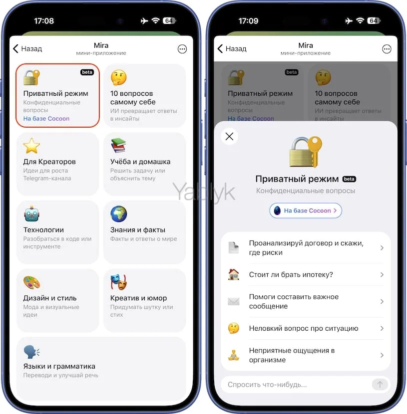 Приватный режим