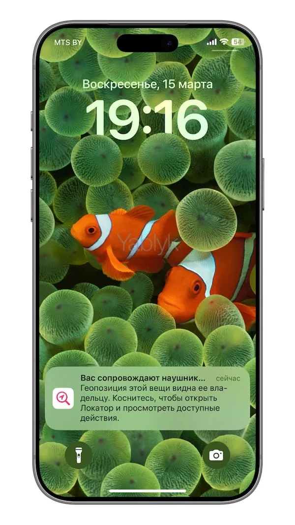 Что означает уведомление «Вас сопровождают наушники» или «Вас сопровождает аксессуар» на iPhone