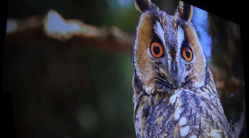 Обзор проектора Magnifire Milky Way: Качество изображения: разрешение, яркость и контраст