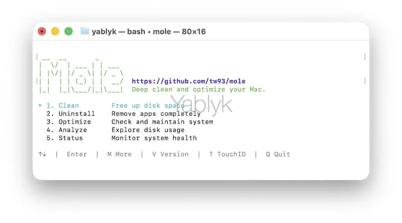 Как запускать Mole после установки