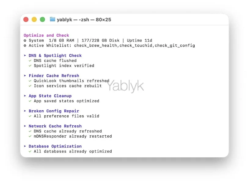 Optimize — техническое обслуживание системы